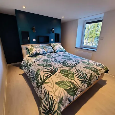 De Charme Avec Sauna, Et Terrain De Petanque A Plombieres-les-bains, Ideal En Famille - Fr-1-589-432 Feriehus *