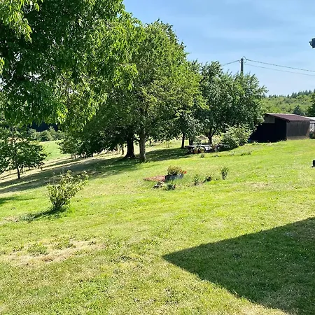 De Charme Avec Sauna, Et Terrain De Petanque A Plombieres-les-bains, Ideal En Famille - Fr-1-589-432 Feriehus *