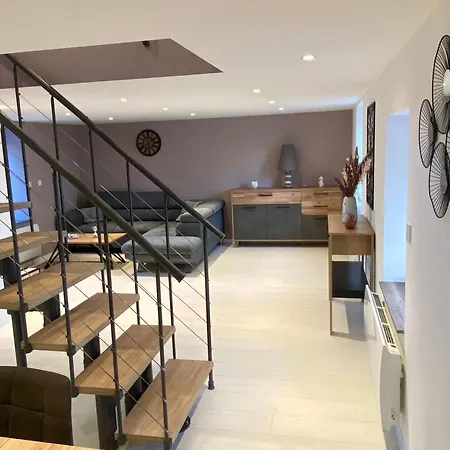 Ferienhaus De Charme Avec Sauna, Et Terrain De Petanque A Plombieres-les-bains, Ideal En Famille - Fr-1-589-432 Plombières-les-Bains